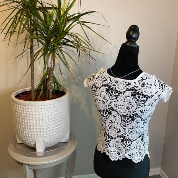 Lace White Crop Top Shirt - Picture 4 of 5